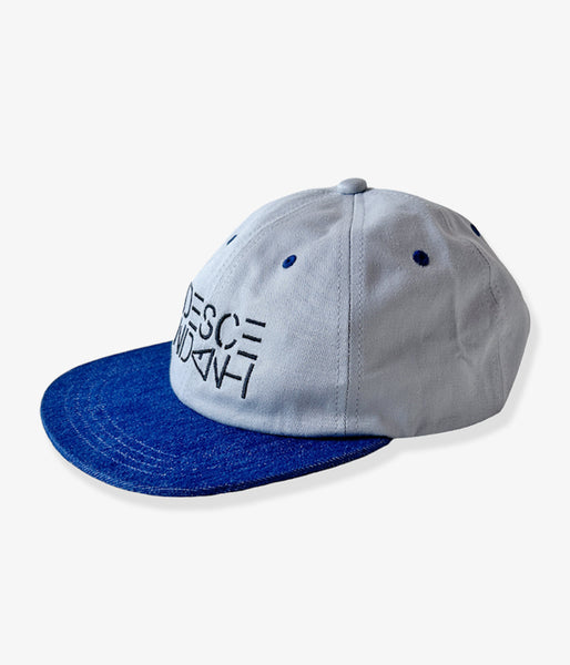 DESCENDANT/CORAL 6PANEL