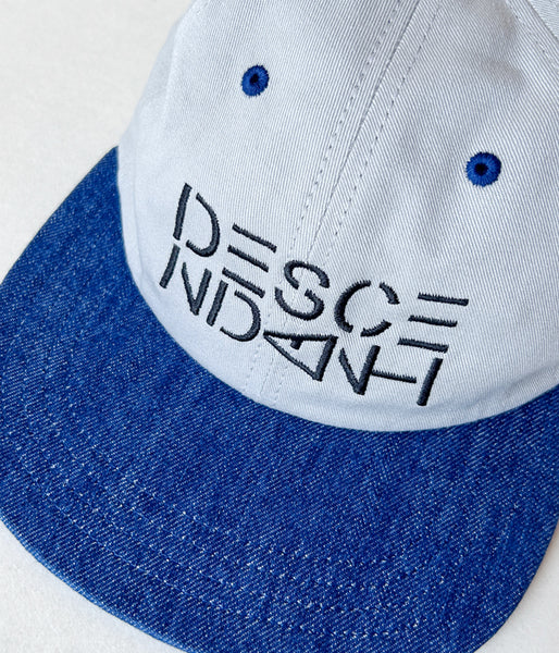 DESCENDANT/CORAL 6PANEL