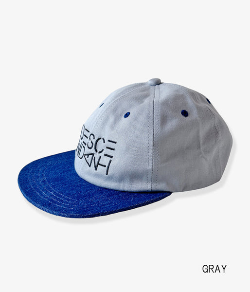 DESCENDANT/CORAL 6PANEL