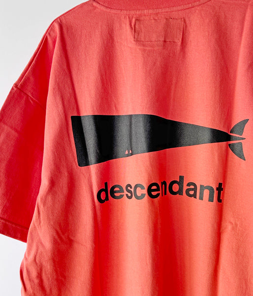 DESCENDANT/CACHALOT SS (ORANGE)