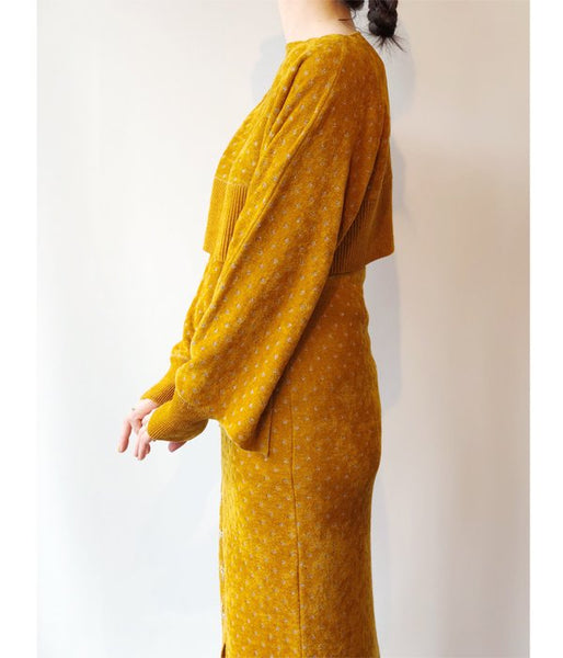 TAN/LULEX DOTS JQ SK (MUSTARD×SILVER)