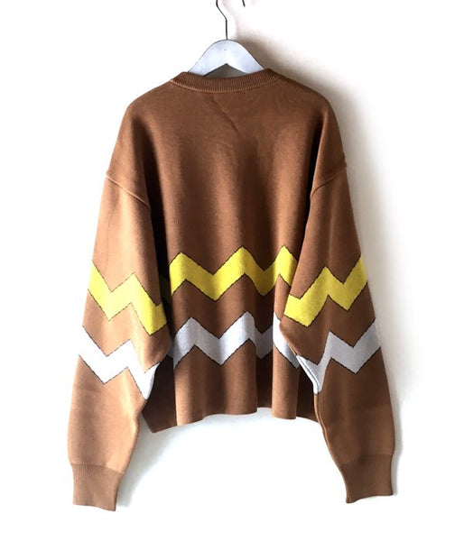 DIGAWEL/BORDER KNIT & SEWN SWEATER (CAMEL)