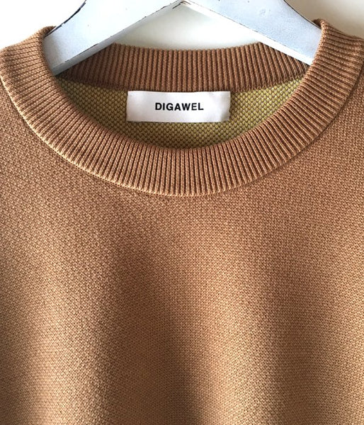 DIGAWEL/BORDER KNIT & SEWN SWEATER (CAMEL)
