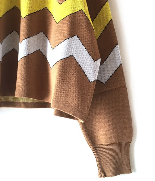 DIGAWEL/BORDER KNIT & SEWN SWEATER (CAMEL)