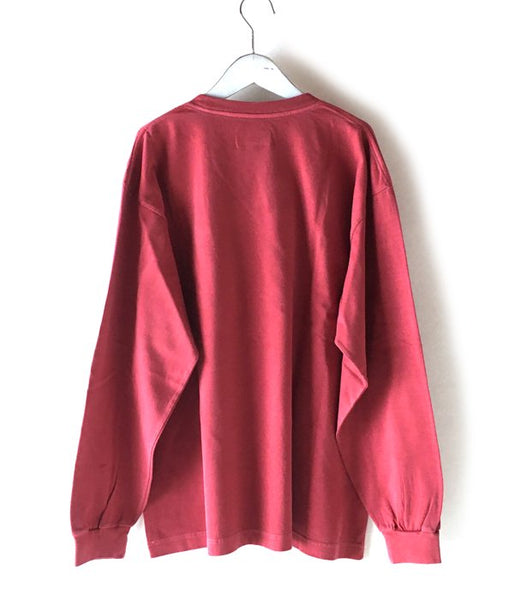 DESCENDANT/HORIZON PIGMENT DYS LS (RED)