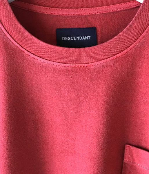 DESCENDANT/HORIZON PIGMENT DYS LS (RED)