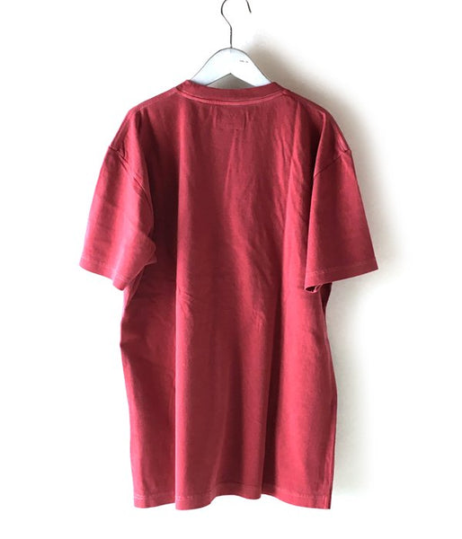 DESCENDANT/HORIZON PIGMENT DYS SS (RED)
