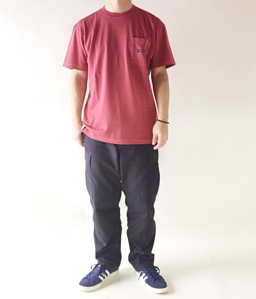 DESCENDANT/HORIZON PIGMENT DYS SS (RED)