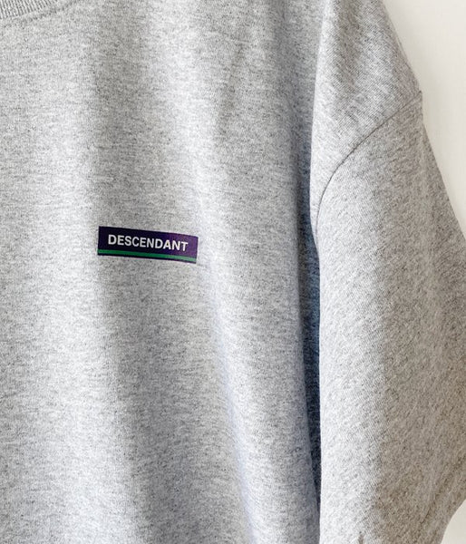 DESCENDANT/HORIZON SS TEE (GRAY)
