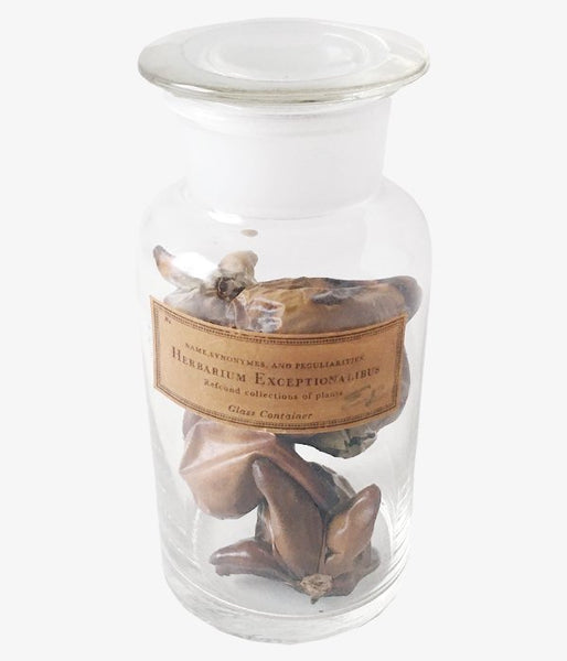 GLASS CONTAINER Botanical/No.3(C)
