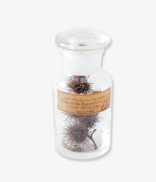 GLASS CONTAINER Botanical/No.1(B)