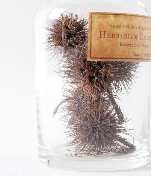 GLASS CONTAINER Botanical/No.1(B)