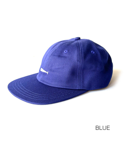 DESCENDANT/CACHALOT 6PANEL CAP