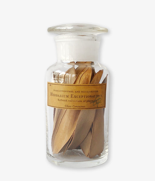 GLASS CONTAINER Botanical/No.2(G)