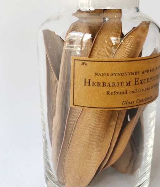 GLASS CONTAINER Botanical/No.2(G)