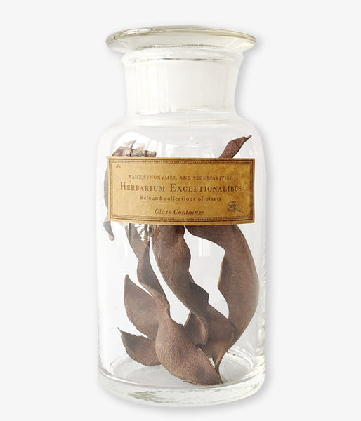 GLASS CONTAINER Botanical/No.3(E)