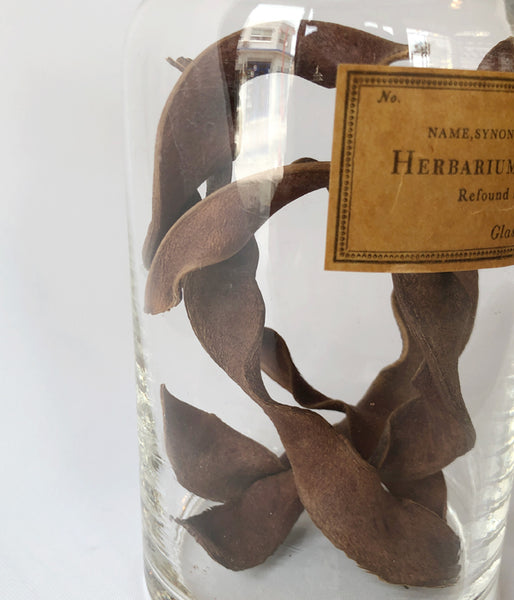 GLASS CONTAINER Botanical/No.3(E)