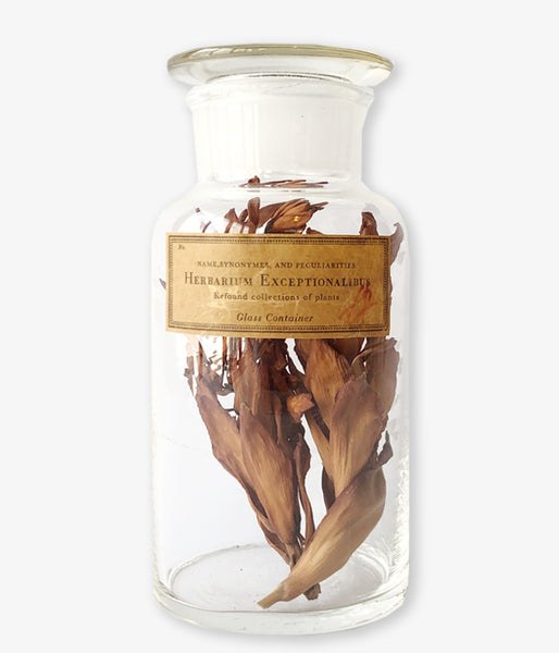 GLASS CONTAINER Botanical/No.3(F)