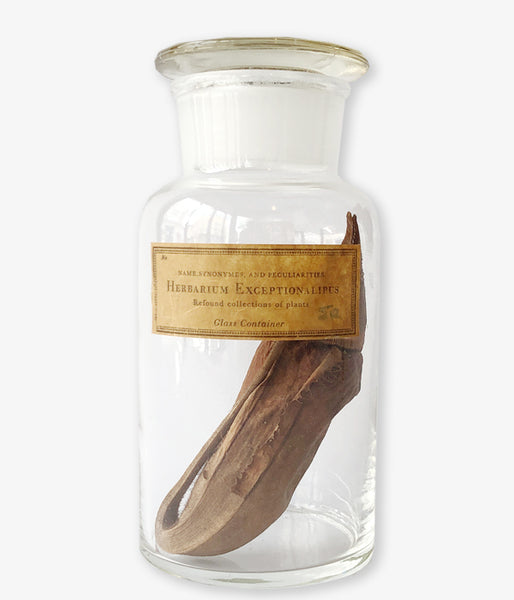 GLASS CONTAINER Botanical/No.3(H)