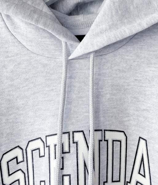 DESCENDANT/TEAM HOODY (GRAY)