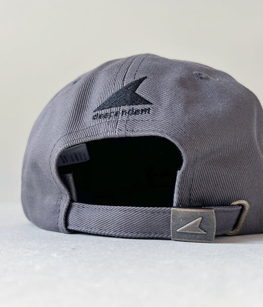 DESCENDANT/TEAM 6PANEL