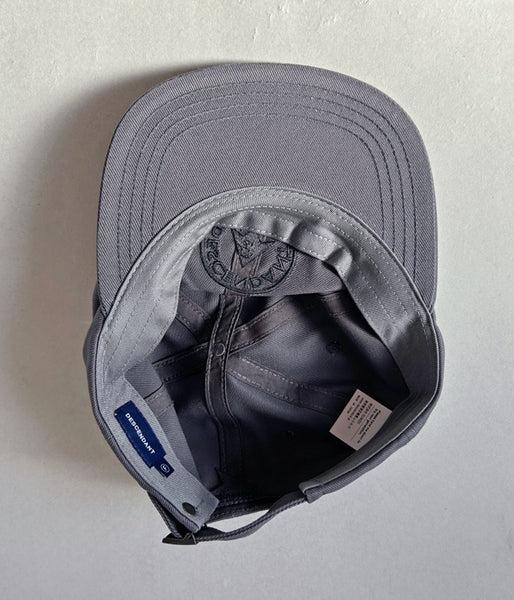 DESCENDANT/TEAM 6PANEL