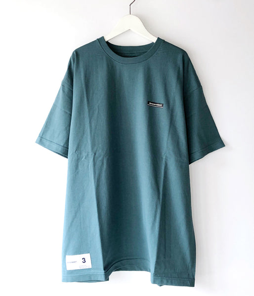 DESCENDANT/HORIZON SS (TEAL)