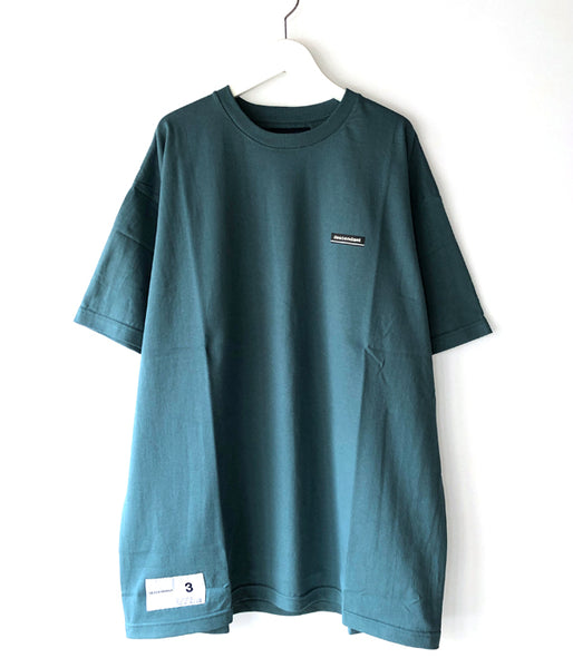 DESCENDANT/FLUKE UP SS (TEAL)