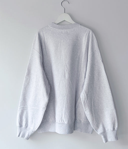 blurhms ROOTSTOCK/SOFT&HARD CREW-NECK P/O BIG (HeatherWhite)