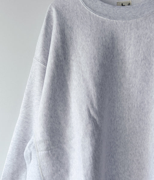 blurhms ROOTSTOCK/SOFT&HARD CREW-NECK P/O BIG (HeatherWhite)