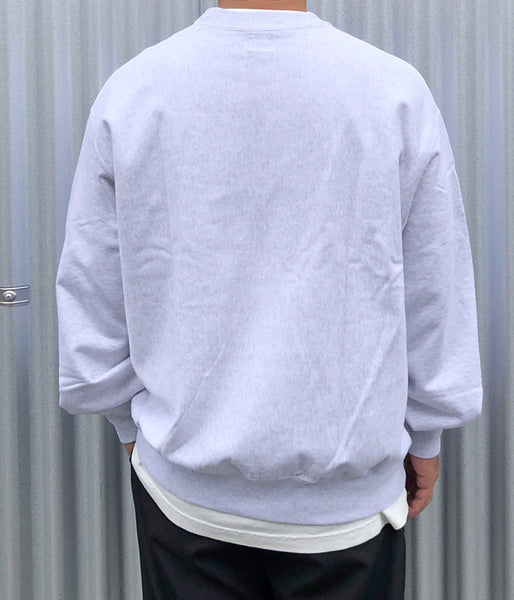 blurhms ROOTSTOCK/SOFT&HARD CREW-NECK P/O BIG (HeatherWhite)