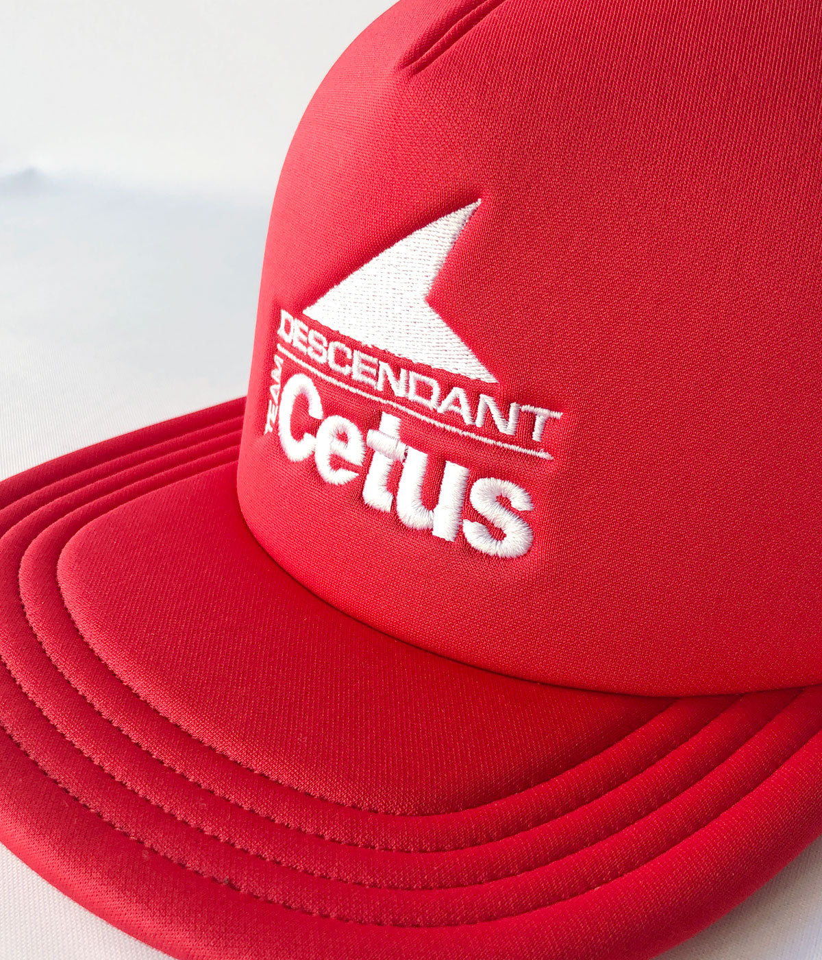DESCENDANT/TEAM CETUS TRUCKER
