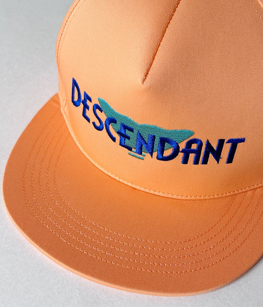 DESCENDANT/FLUKE UP TRUCKER