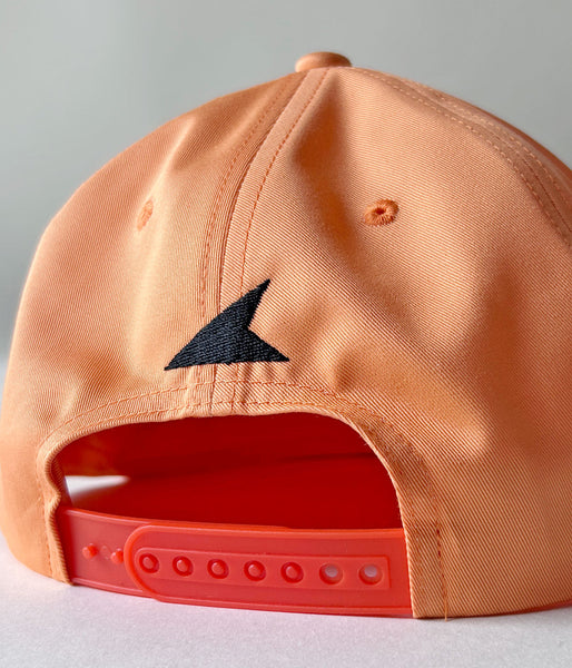 DESCENDANT/FLUKE UP TRUCKER