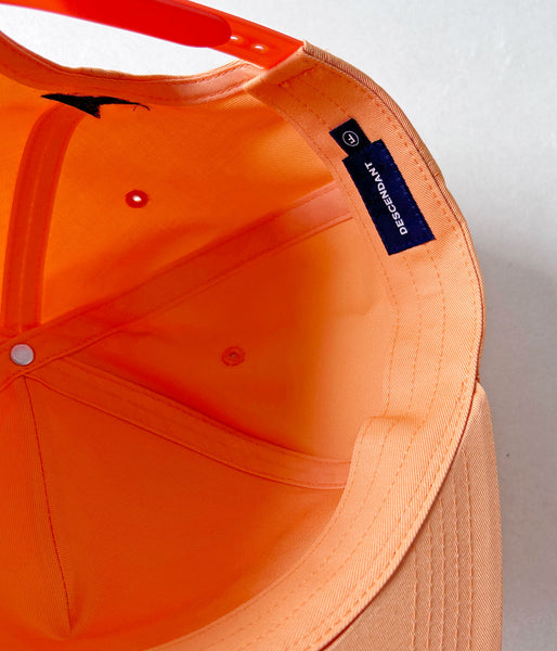 DESCENDANT/FLUKE UP TRUCKER