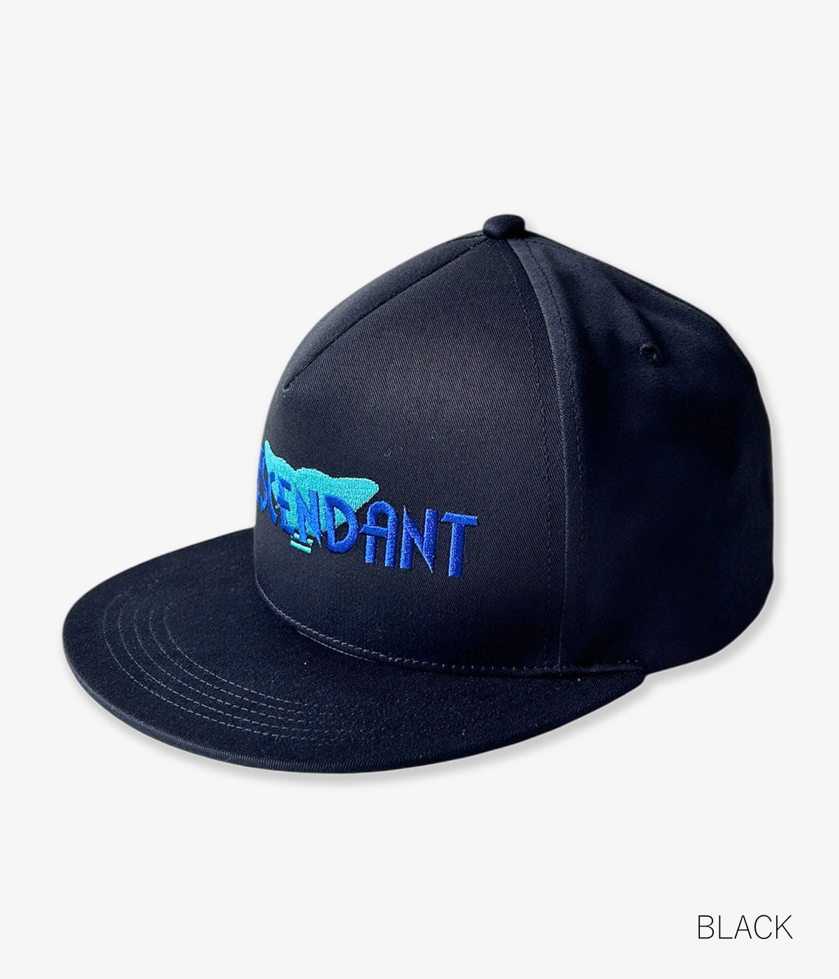 DESCENDANT/FLUKE UP TRUCKER