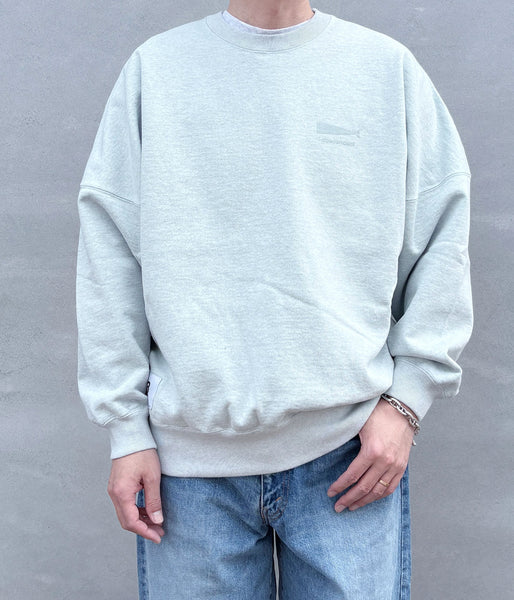 DESCENDANT/CACHALOT CREW NECK (GRAY)