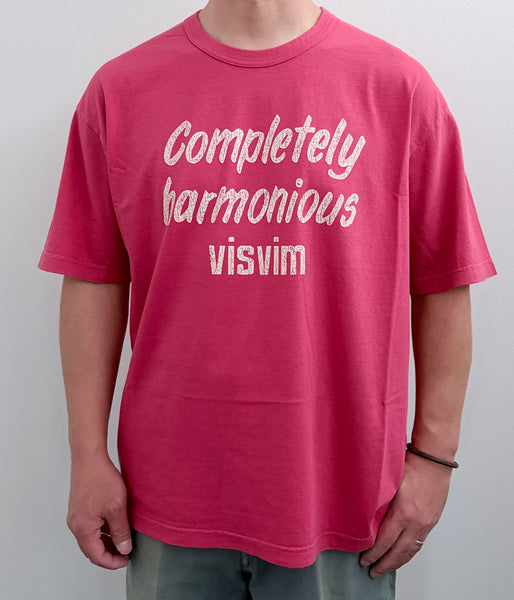 visvim/JUMBO TEE S/S DMGD