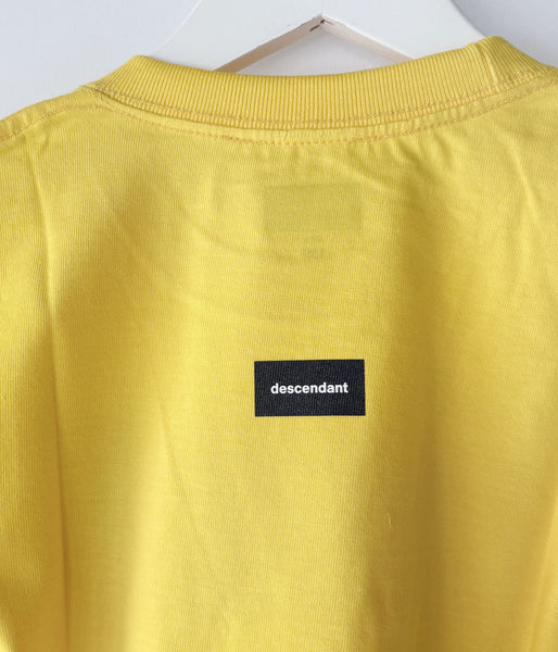 DESCENDANT/CACHALOT SS (YELLOW)