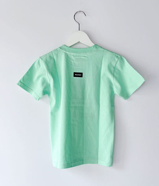 DESCENDANT/FLUKE UP SS (MINT)