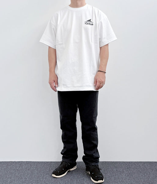 DESCENDANT/STERN SS (WHITE)