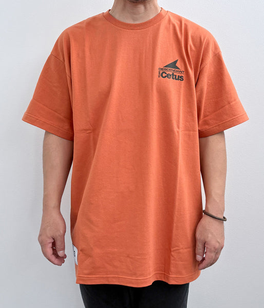 DESCENDANT/STERN SS (ORANGE)
