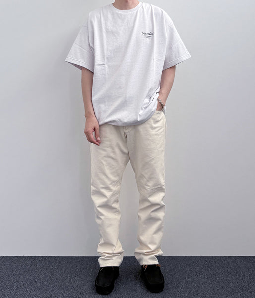 DESCENDANT/FLUKE UP SS (GRAY)