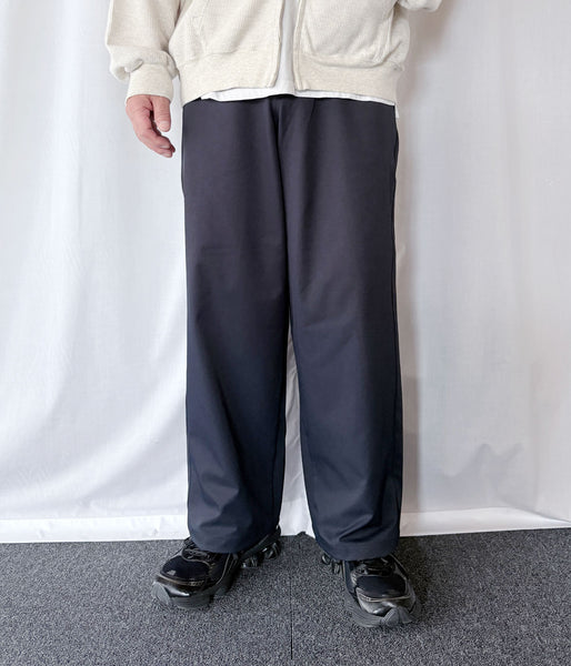 Goldwin/BAGGY STRAIGHT PANTS (DARK NAVY)