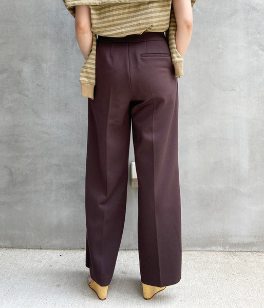 PHEENY/AMUNZEN 2 TUCK WIDE PANTS(BROWN)