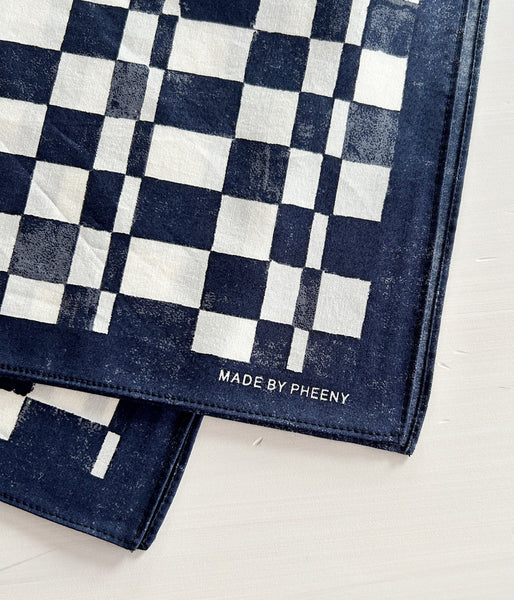 PHEENY/COTTON SILK CHECKERED SCARF