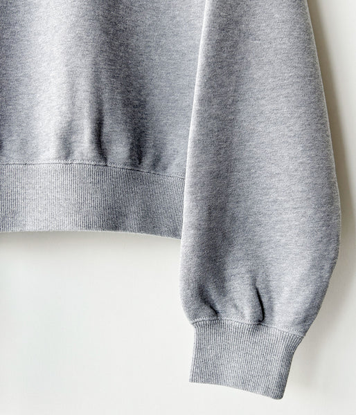 PHEENY/ATHLEISURE HALF-ZIP COLLARED PULLOVER(GRAY)