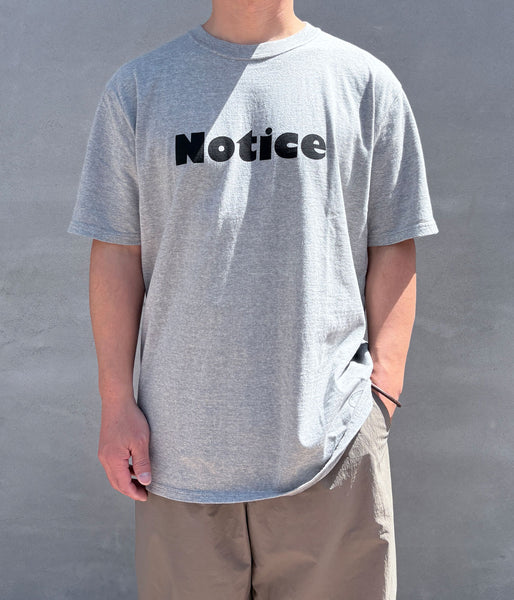 TANGTANG/AIN'T NOTICE(GRAY)
