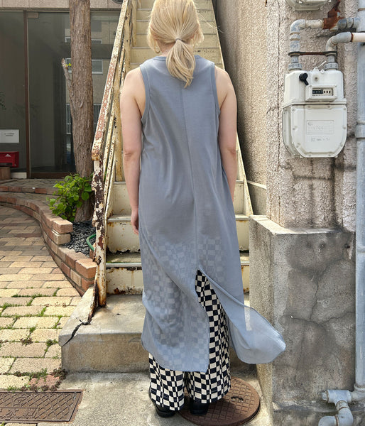 PHEENY/SHEER JERSEY AMERICAN SLEEVE DRESS(BLUE)