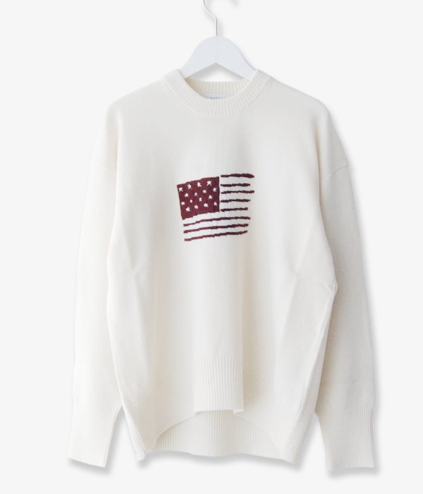 PHEENY/WOOL CASHMERE JAQUARD PO KNIT (AMERICA)